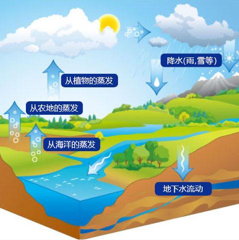 雨水收集系統實現雨水資源的使用-海綿雨水收集