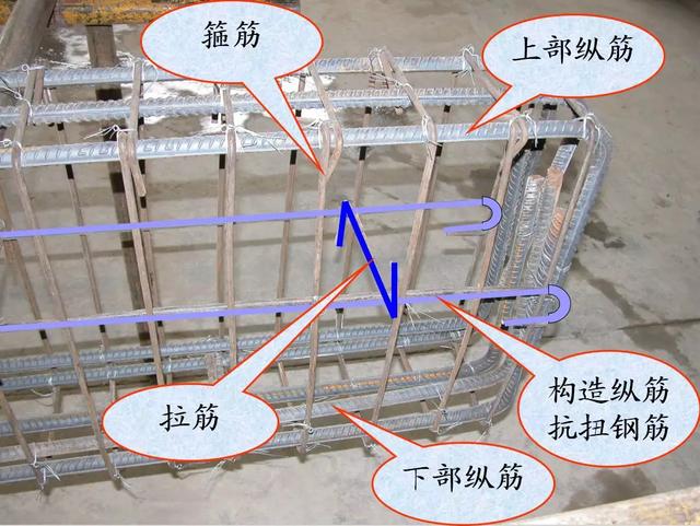 根據在結構中的作用，鋼筋有哪些分類？