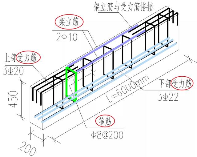 根據在結構中的作用，鋼筋有哪些分類？