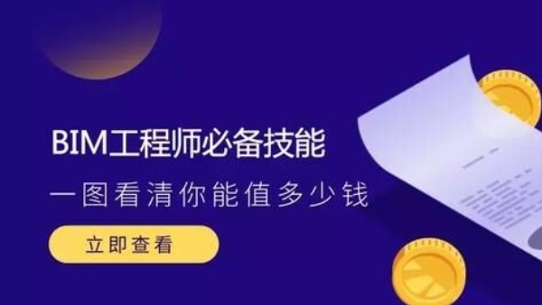 BIM工程師必備的技能攻略