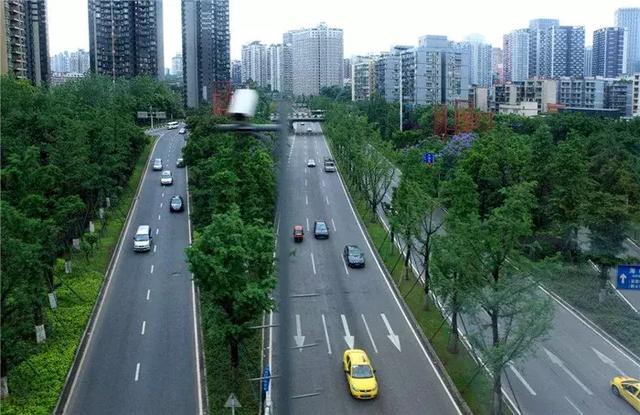 【道路建?！康缆肪G化帶設計