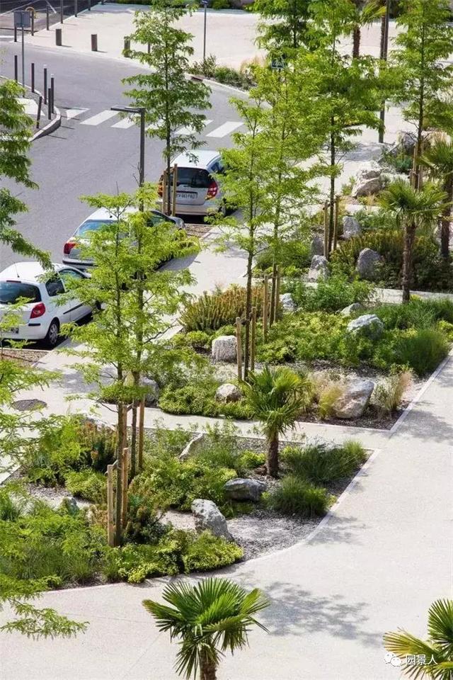 【道路建?！康缆肪G化帶設計