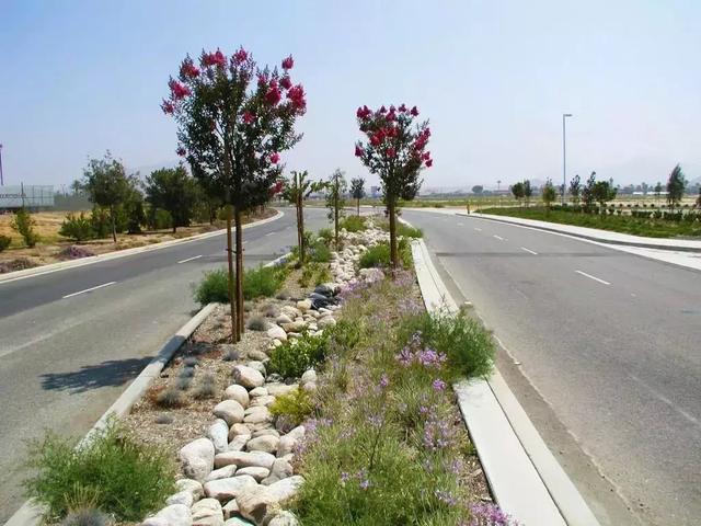 【道路建?！康缆肪G化帶設計
