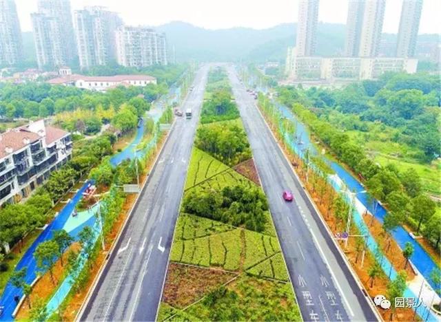 【道路建?！康缆肪G化帶設計