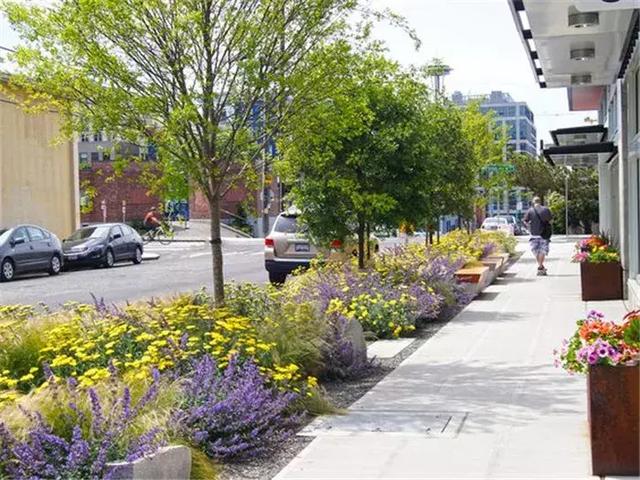 【道路建?！康缆肪G化帶設計