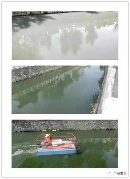 如何整治城市黑臭水體