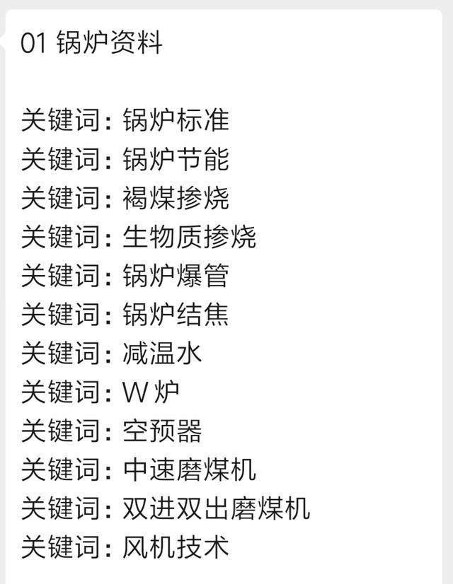 某鍋爐發電廠全廠停電事件的反思