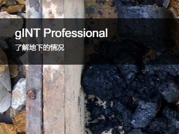 gINT 地下數據管理和報告軟件